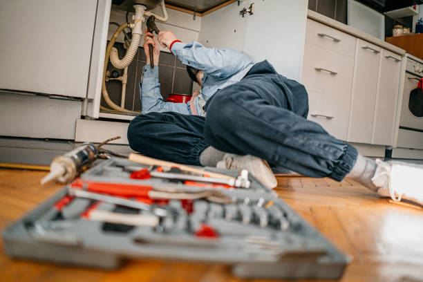 Best Affordable Plumbing Services  in Stockton, IL