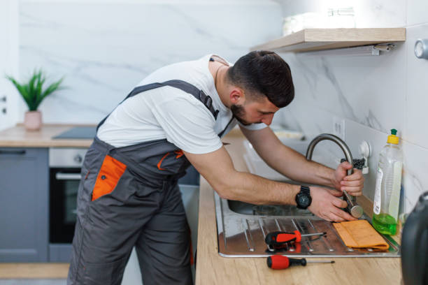 Best Plumbing Inspection Services  in Stockton, IL