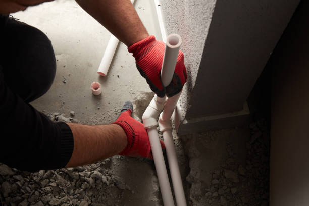 Best Plumbing Services Near Me  in Stockton, IL